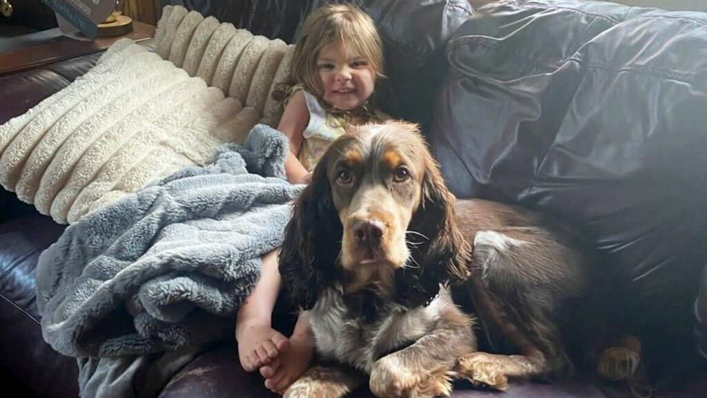 A little girl sitting on the couch by a big dog