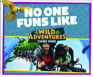 No one funs like Wild Adventures theme park with roller coasters and rides.